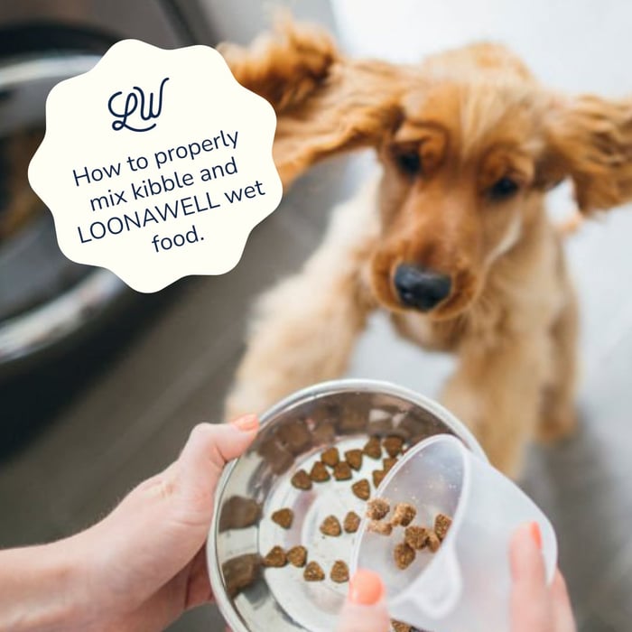 The Perfect Blend: Mixing LOONAWELL Wet Dog Food with Your Dog’s Kibble