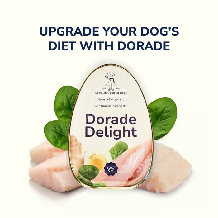 Dorade for Dogs: The Ultimate Protein Source