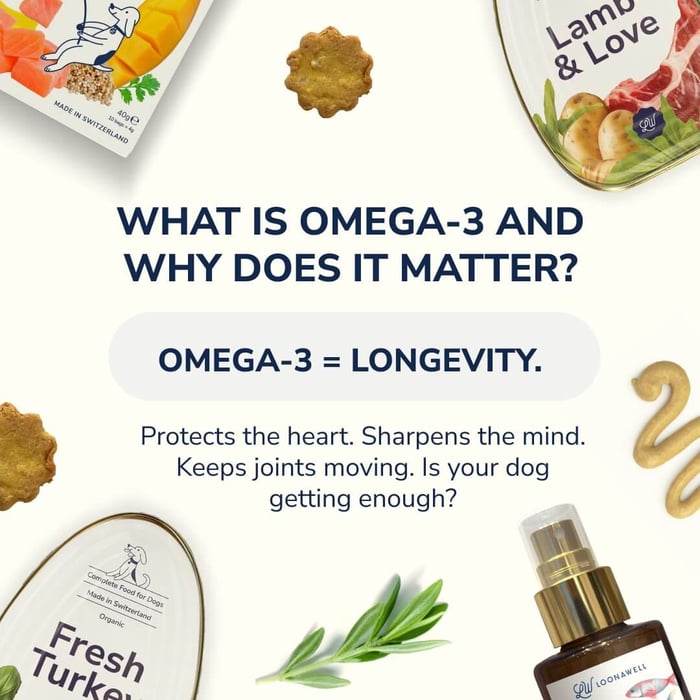 Omega-3 for Dogs: The Secret to a Longer, Healthier Life