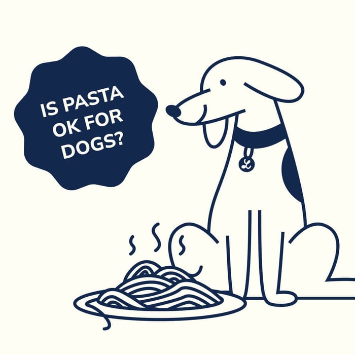 Can My Dog Eat Pasta?