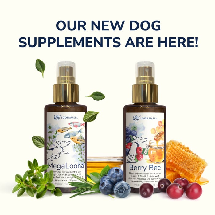 Introducing LOONAWELL’s New Dog Supplements