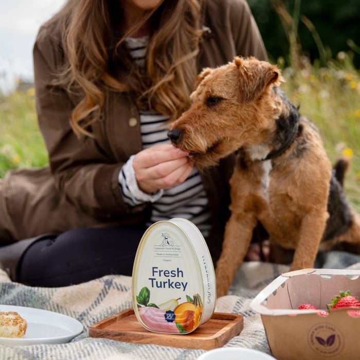 The Organic Turkey Connection: Elevate Your Pet’s Experience