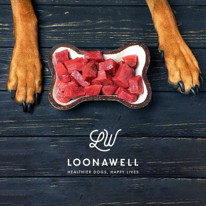 Beef for Dogs: Exploring the Meaty Truth