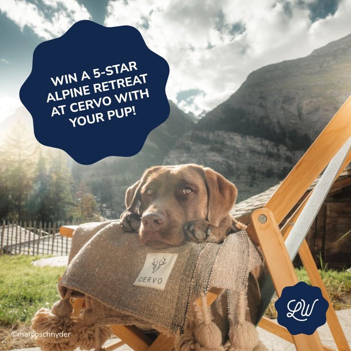Win with LOONAWELL’s Dog Food: Luxurious Swiss Alps Giveaway