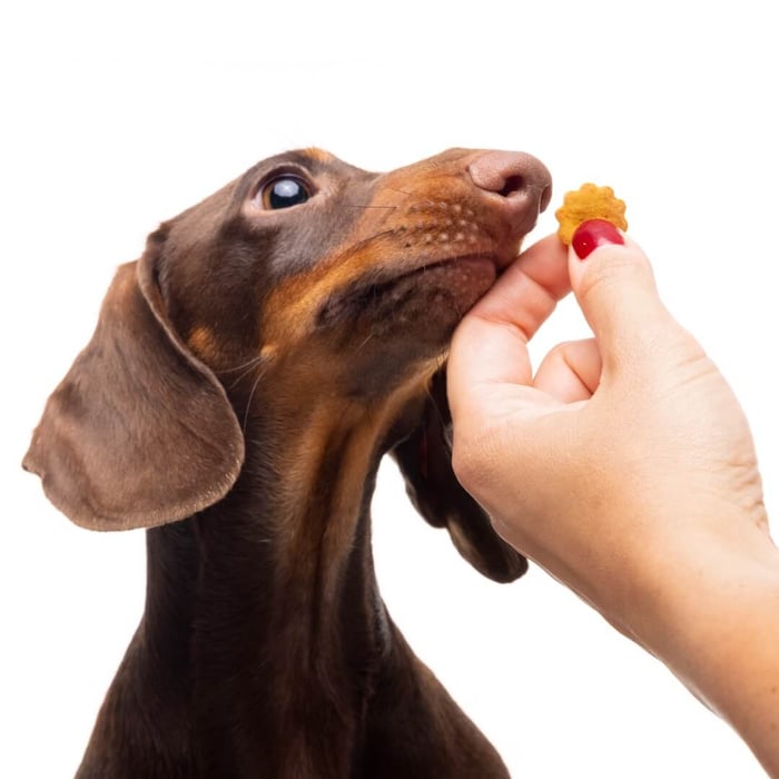 LOONAWELL Turns Sensorial Evaluation into a Delightful Moment