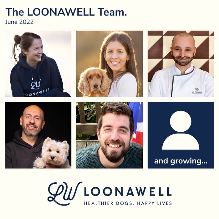 Presenting: The LOONAWELL Team