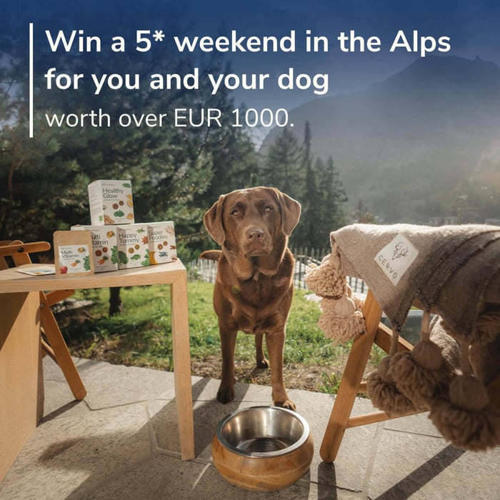 Win a 5* weekend for you and your dog, in the Alps, worth over EUR 1000