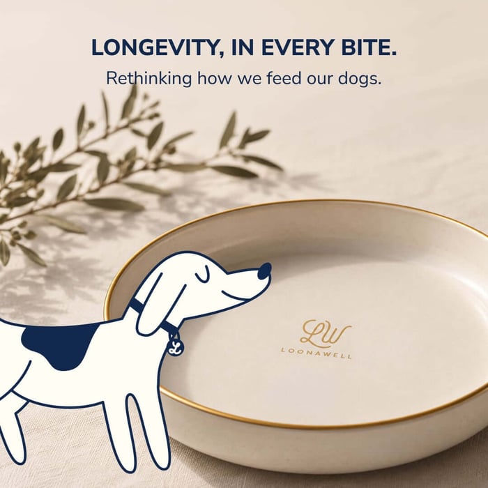 Longevity in Every Bite: Rethinking How We Feed Our Dogs