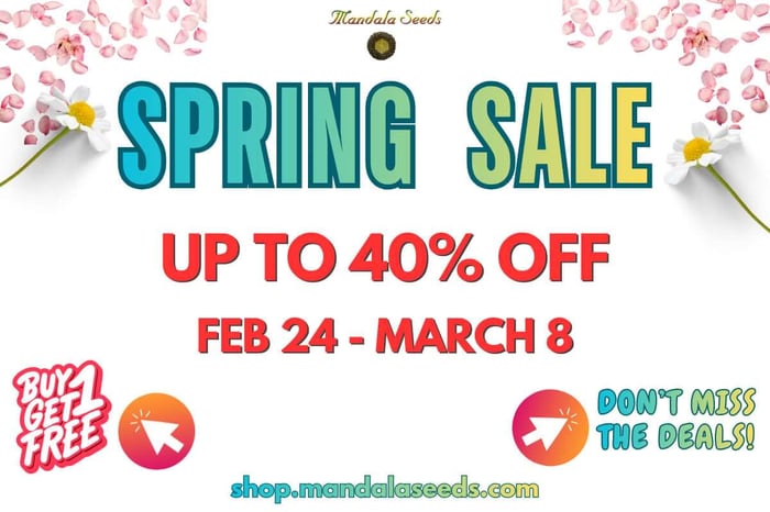 Spring Sale 2026 - Discounts and Special Deals