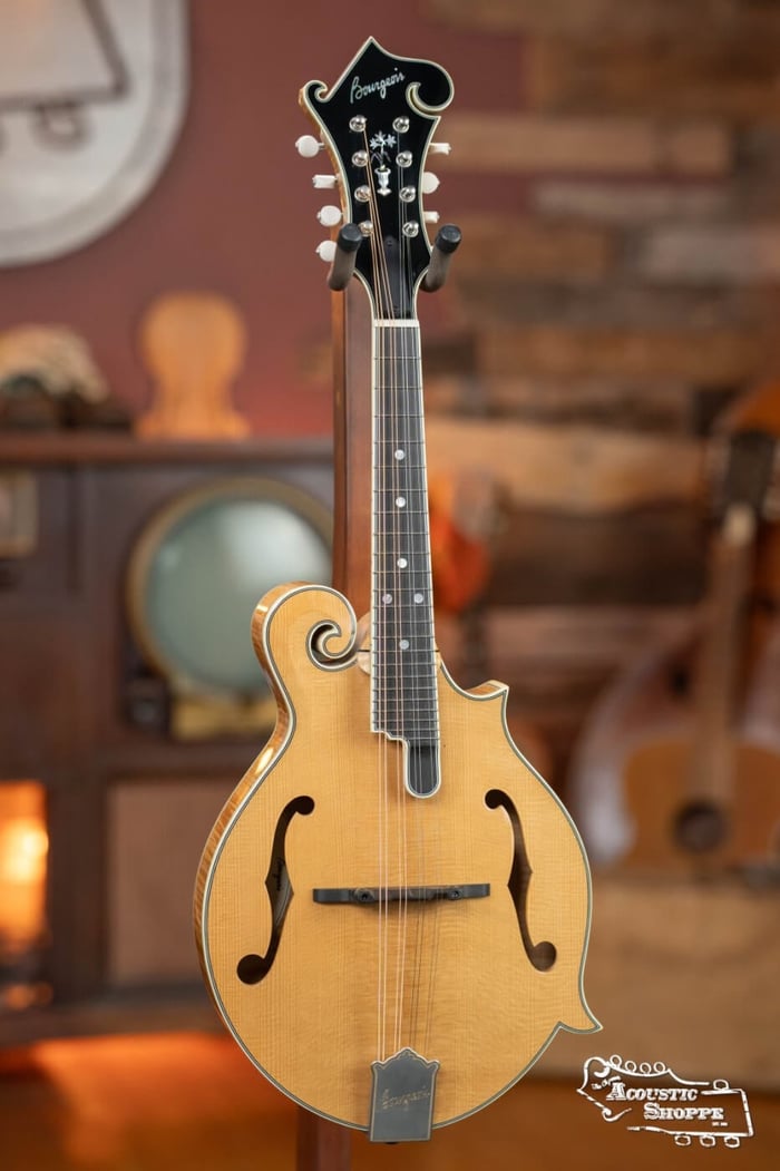 Bourgeois M5F Mandolin: A Complete Review