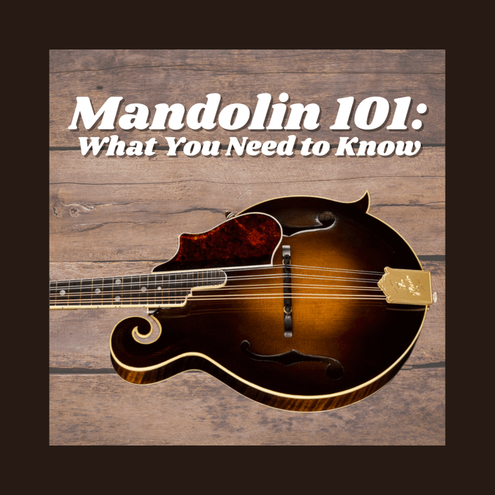 Mandolin 101: What You Need To Know
