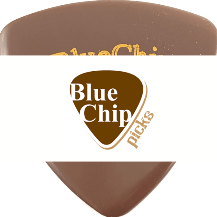 BlueChip Picks: Revolutionary Product Innovation