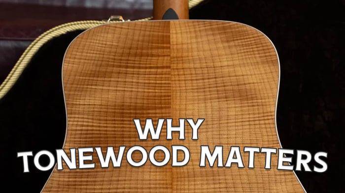 Why Tonewood Matters: The Secret to Your Guitar's Sound