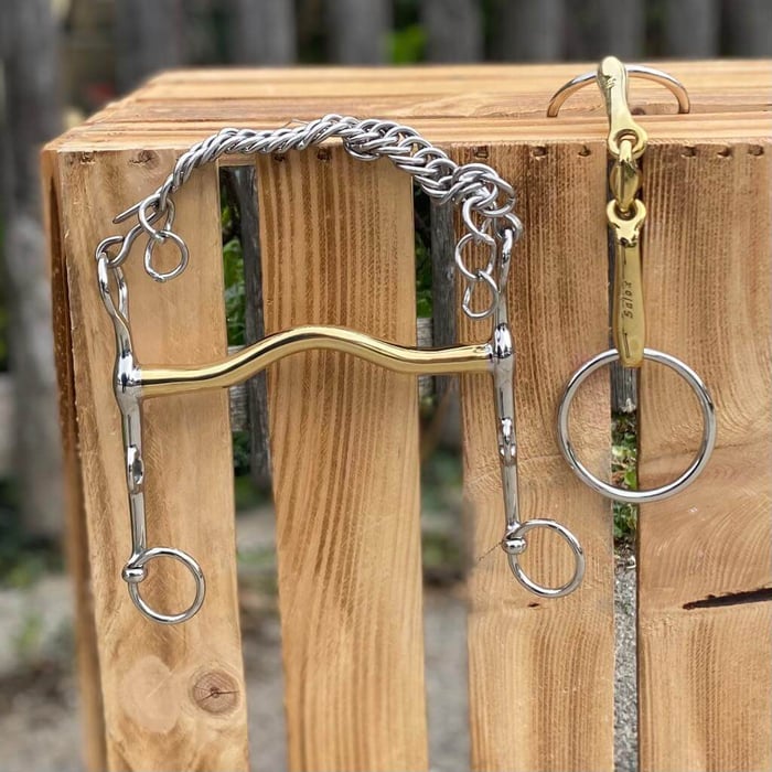 Die Kandare – ihre Funktion und wie man sie anpasst