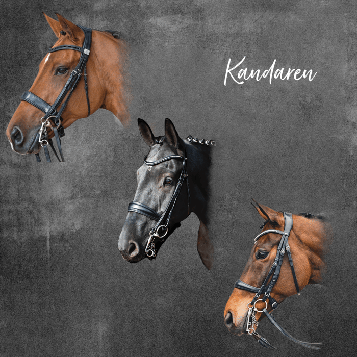 Wir stellen unsere Kandaren vor!