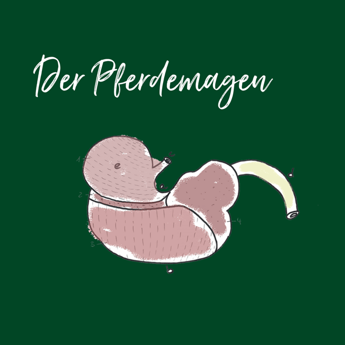 Wenn das Pferd Magenprobleme hat…