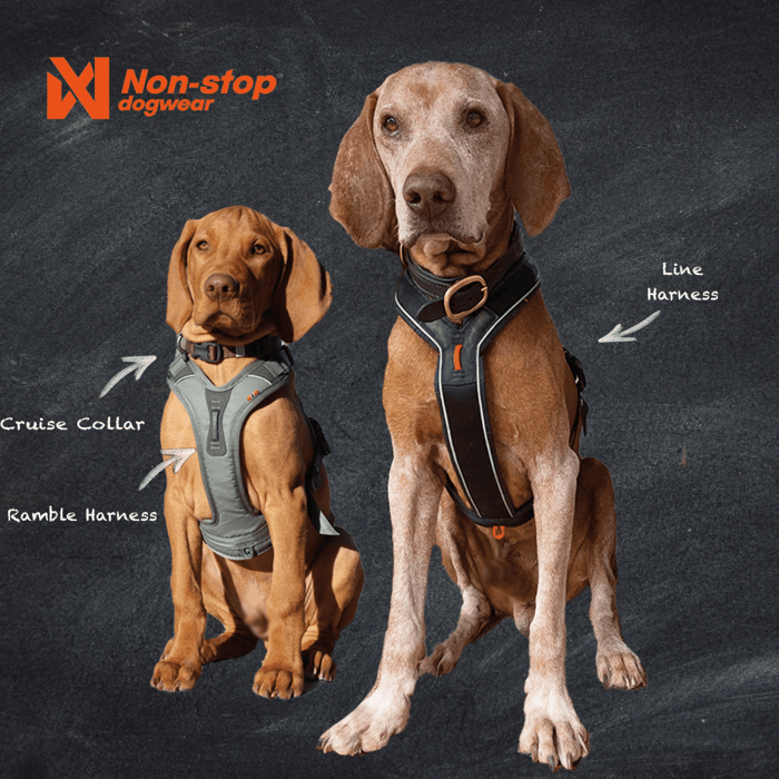 Das beste Hundegeschirr von Non-stop Dogwear!