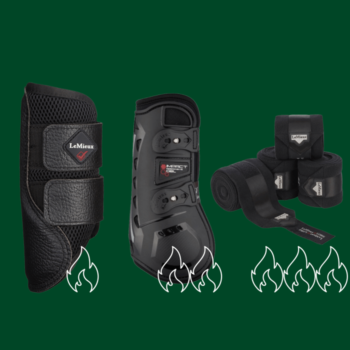 Der richtige Einsatz von Beinschutz bei Pferden