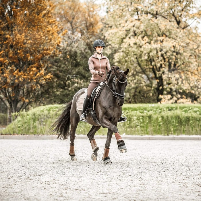 Fairfax Performance Sattelgurt - der Gurt, der die Pferde fliegen lässt - Teil 2