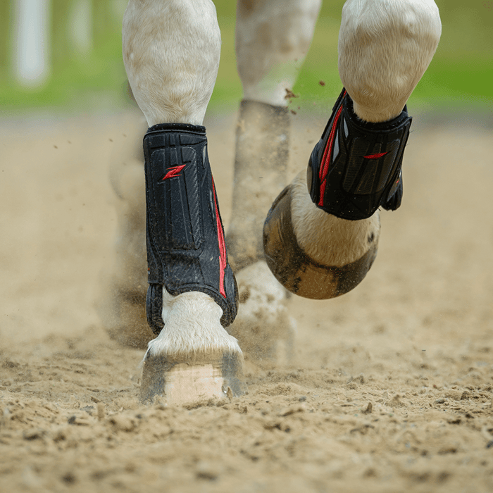 Alles was du über Gamaschen, Bandagen und Co. wissen musst!