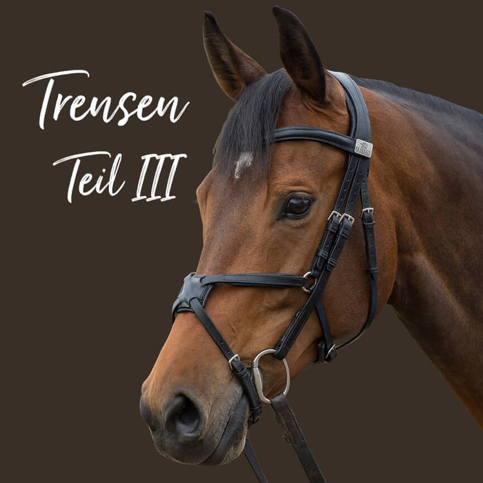 Die verschiedenen Nasenriemen und ihre Wirkung