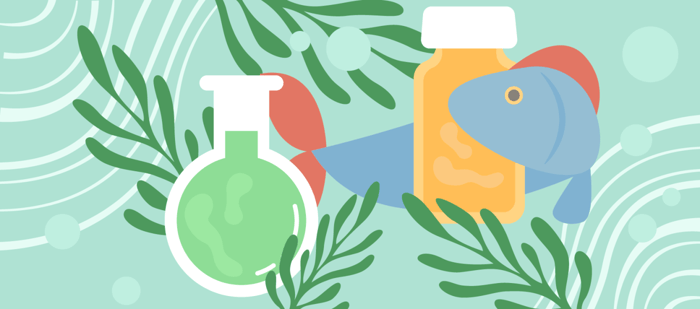 Algae Oil vs. Fish Oil: How To Choose The Right Omega-3