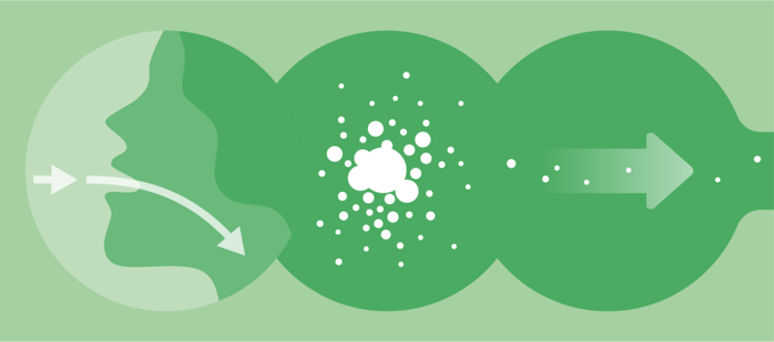 How Long Does It Take Fish Oil To Get Out Of Your System?