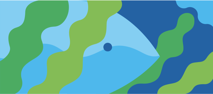 Fish Oil Alternatives