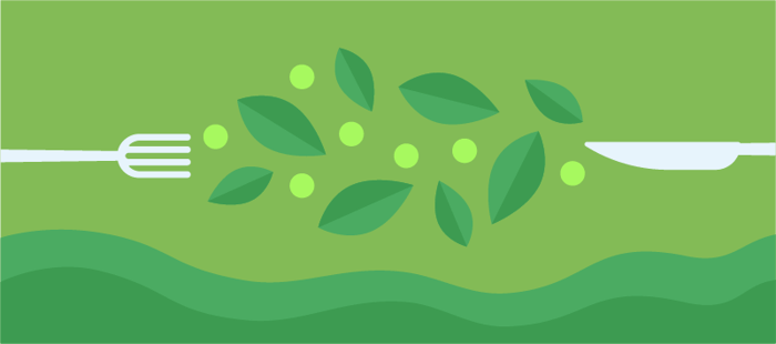 Plant-Based Diet: The Ultimate Beginner’s Guide