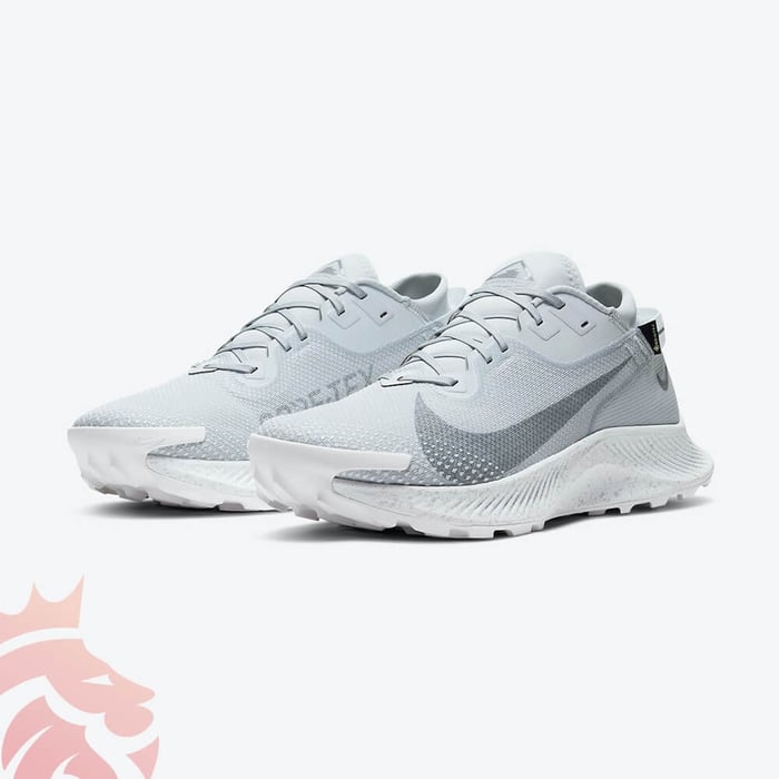 First Look: Nike Pegasus Trail 2 Gore-Tex “Pure Platinum”