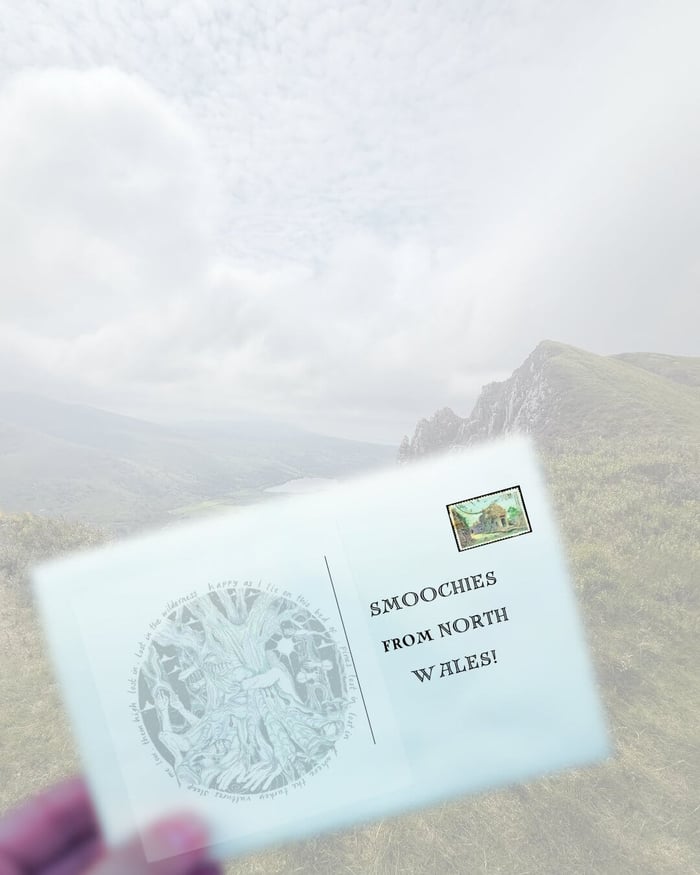 Shy Western postcard