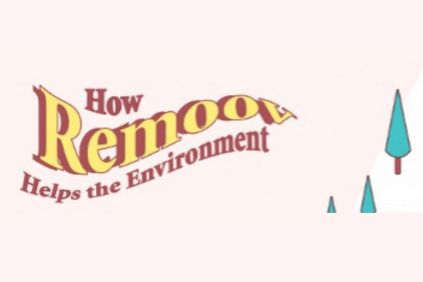 The Recycling Ecosystem & Saving The Planet