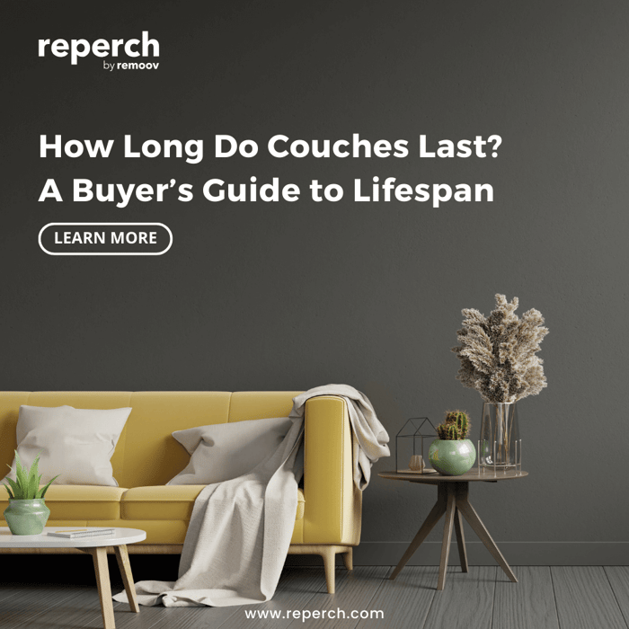 How Long Do Couches Last? A Buyer’s Guide to Lifespan