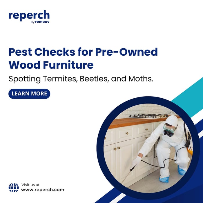 Pest Checks for Pre-Owned Wood Furniture: Spotting Termites, Beetles, and Moths