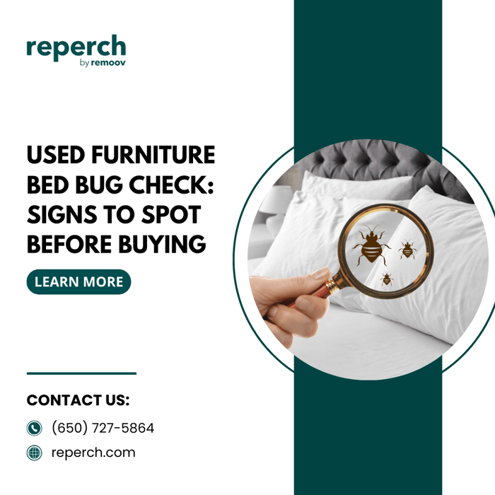 Used Furniture Bed Bug Check: Signs to Spot Before Buying