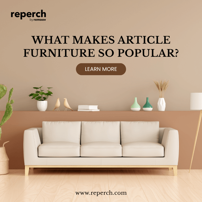 What Makes Article Furniture So Popular With Modern Homeowners?