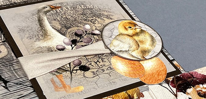 September 2022 - Roost - It's Egg-cellent!