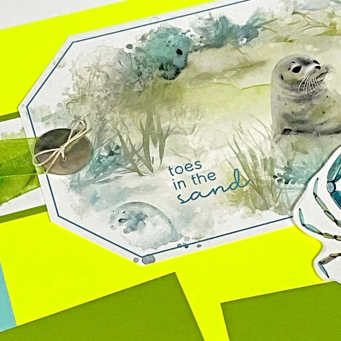 Beachcomber - Enjoy the serene beauty of the May collection.