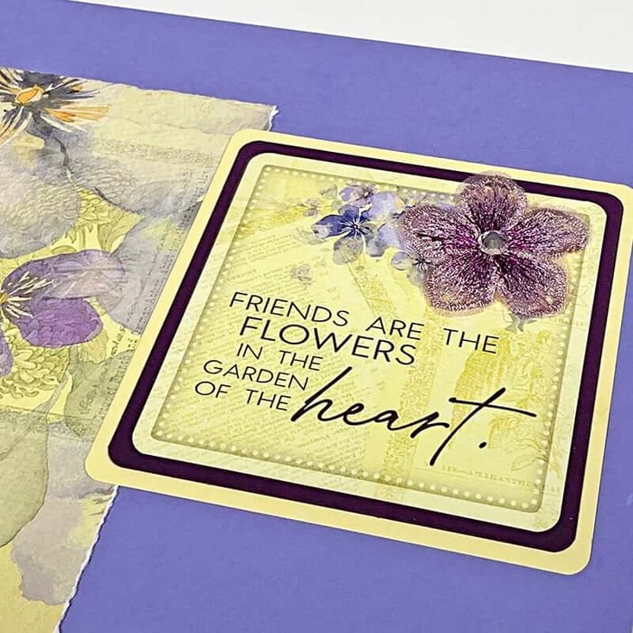 Violet Special Release - Let your creativity bloom!