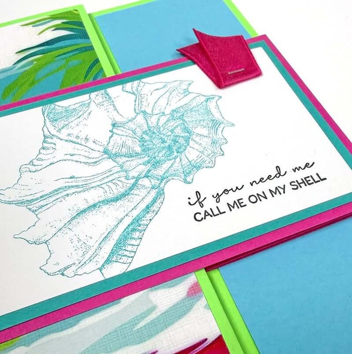 Create and send greeting cards that will make a Splash!
