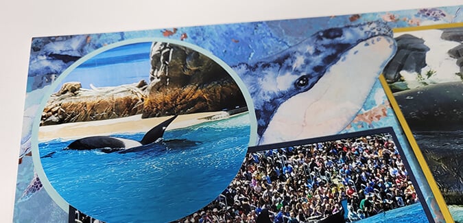 Under the Sea Bonus Formula - Surf-ing up awesome layouts!