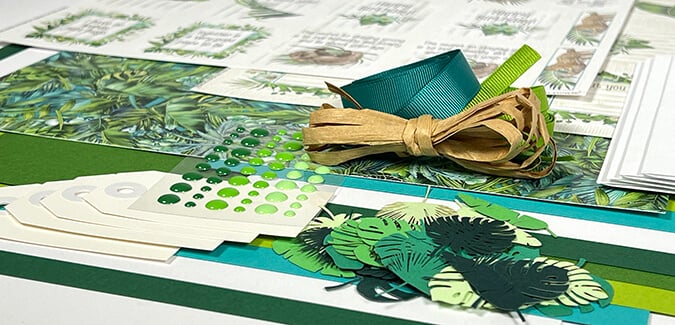 Rainforest Spoiler - Embrace the beauty of nature.