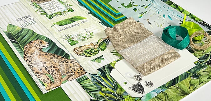 March 2024 - Rainforest - Take a walk on the wild side.