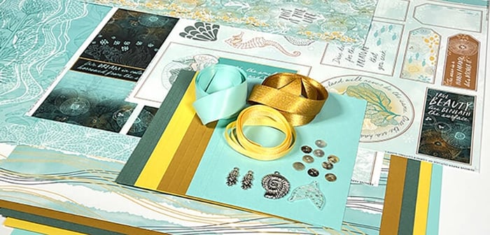 Dive into the depths of the Reef Spoiler.