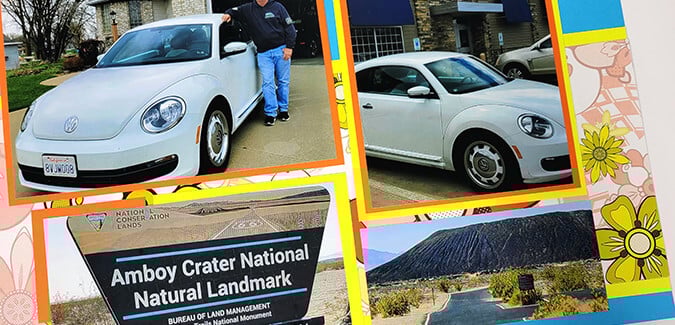 June Bonus Formula - A (Flower) Power tool for creativity.