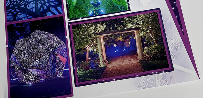 Gossamer Bonus Formula - A great way to end the year!