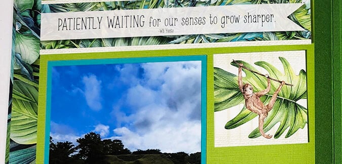 Rainforest Podium Book - Scrap special outdoor adventures.