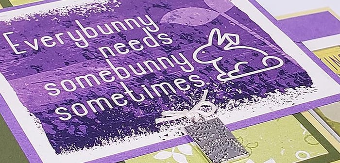 Sprouts Cards - Grow your fun card stash!