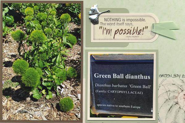 Renewal Layouts - Make 'em your own!