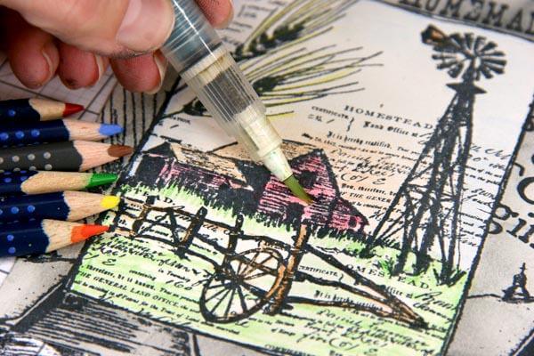 At Home With Homestead